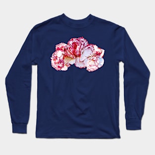 Carnations - Three Pink-Tipped Carnations Long Sleeve T-Shirt